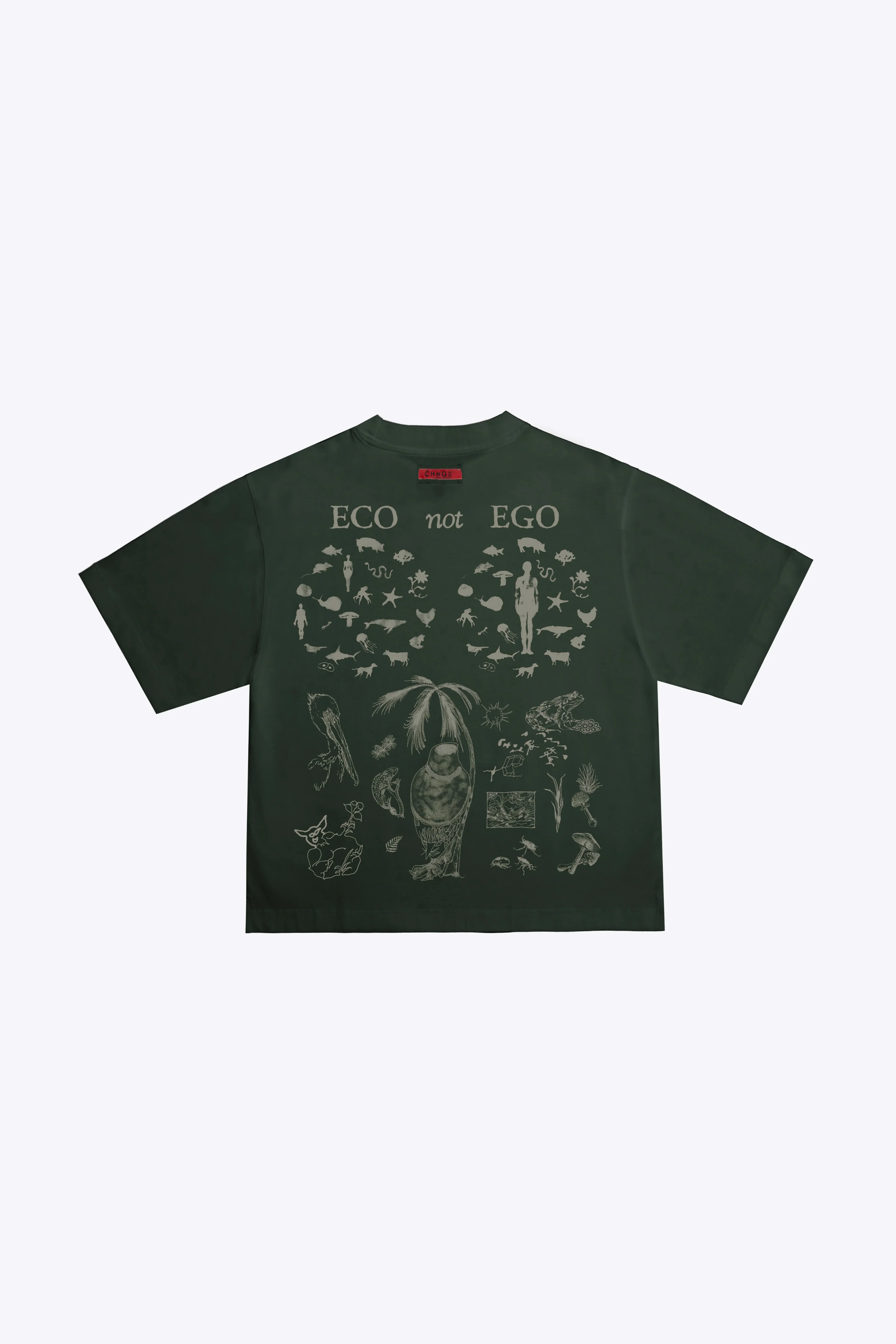New Arrivals - Attentive